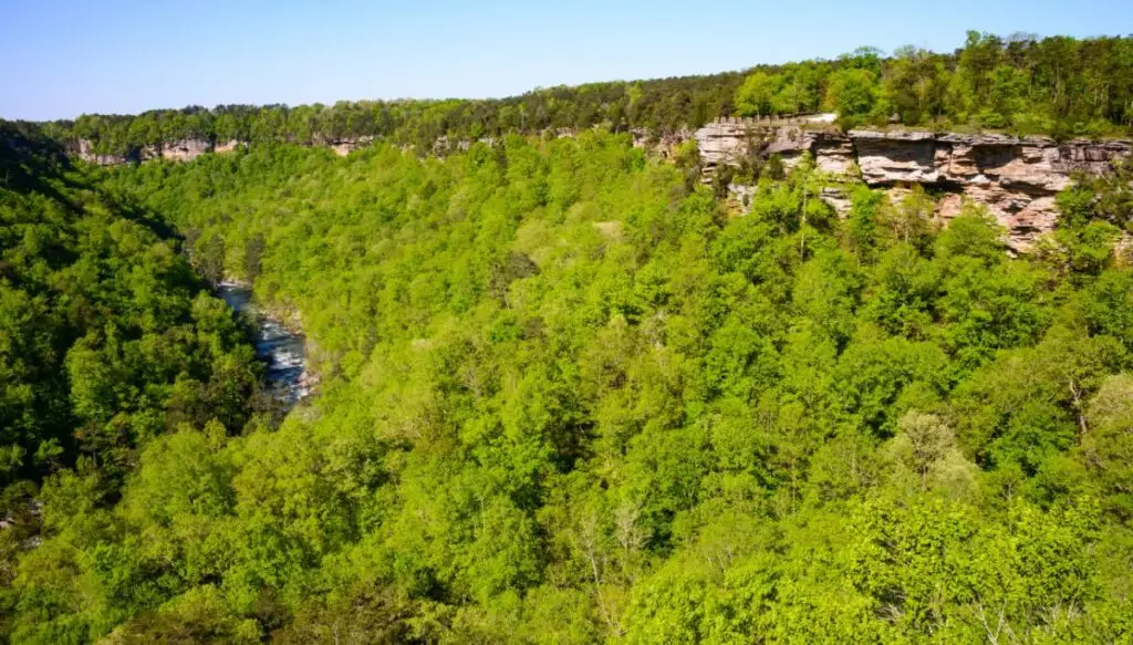 Aerial view of vast green forests covering the land in Little River Canyon National Preserve. 