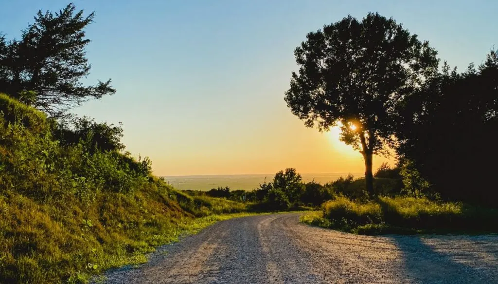 View of the Loess Hills Trail Road. You can see a road winding past trees with the sun peaking out behind the trees. 