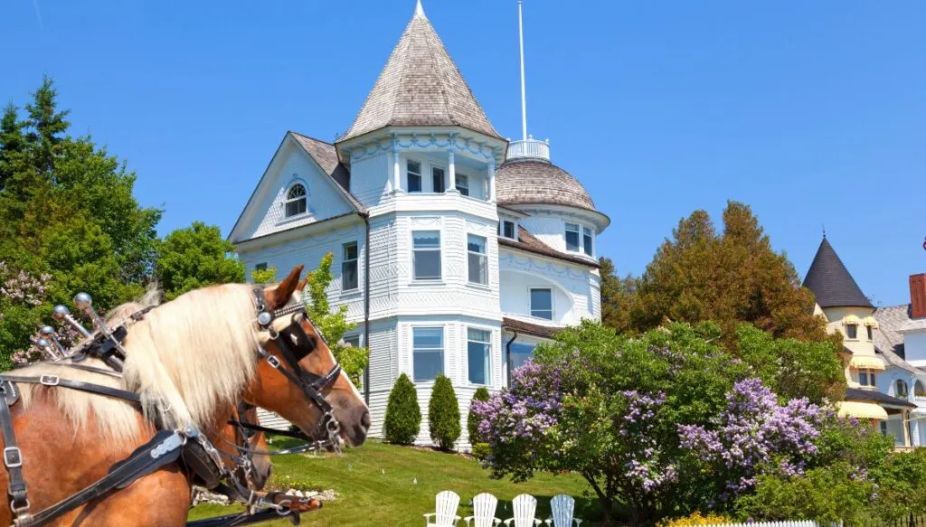 View of white Victorian home in the background with two brown horses in the foreground on Mackinac island. 