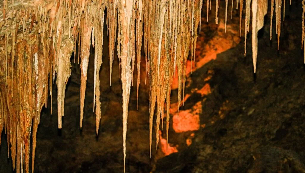 View of icicle-like rock formations hanging down from the ceiling sindie of Mammoth Cave National Park. 