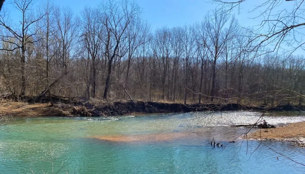 View of the bright blue waters of Mark Twain Lake in Missouri. It is winter and you can see that all the trees don't have any leaves. 