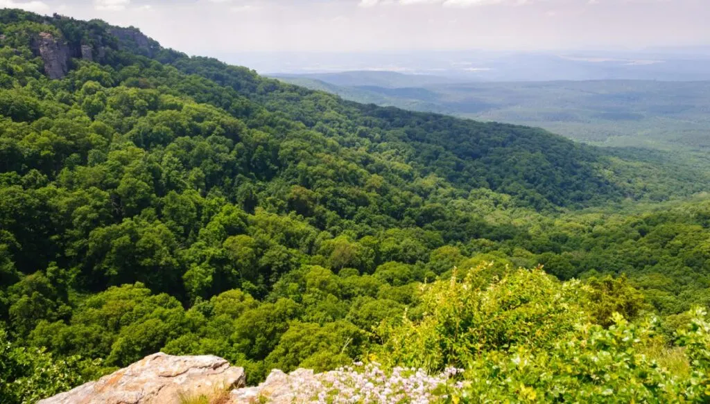 View of sweeping panoramas of mountains covered in green trees inside of Mount Magazine State Park. 