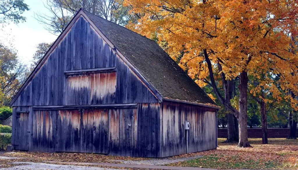 View of a distressed wooden on the left and a trre with vibrant orange foliage on the right. 