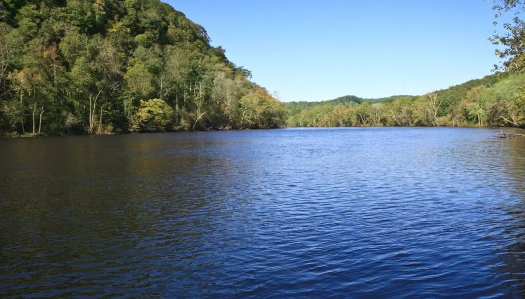 View of Norris Lake surrounded by forests full of green trees on a sunny day in Tennessee. 