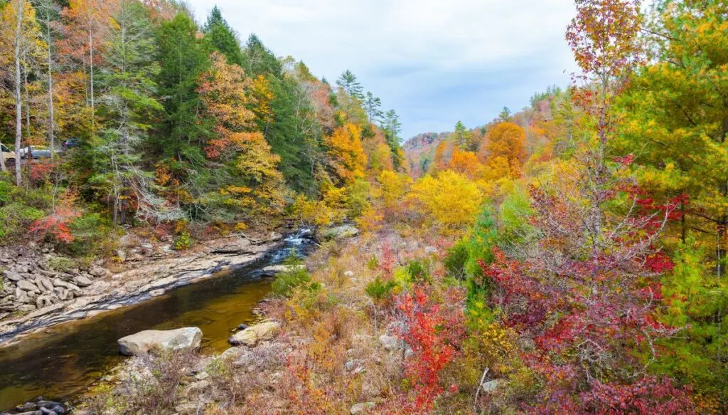 Obed Wild and Scenic River. You can see a rocky shore along the river and vibrant fall foliage taking over the surrounding forest. 