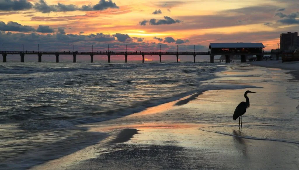 View of a crane sitting on Orange Beach. There is a pier in the background and the sun is setting. 