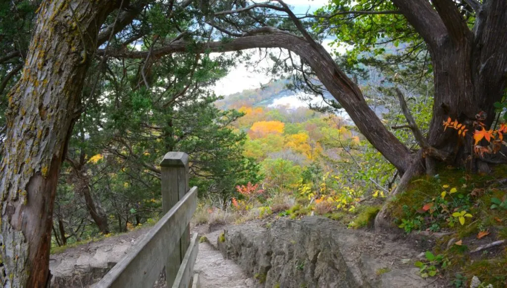 View of a set of stairs leading down a mountain. You can see fall foliage in the distance and the trail sovered by trees. 