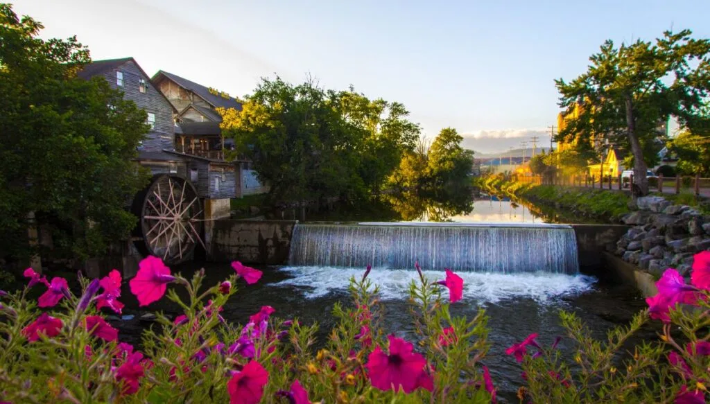 You can see pink flowers in the foreground and a river with a small waterfall surrounded by an old mill with trees in the background. 