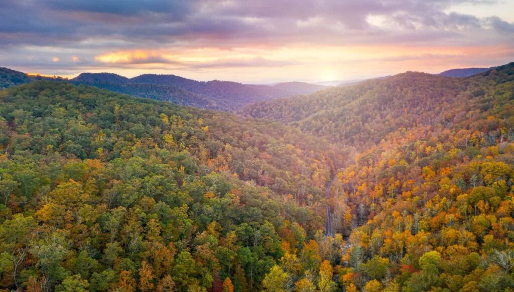 View of the vibrant fall foliage taking over the forests in Pisgah National Forest. You can see the sun starting to set on a clouady day behind all the mountains and forests. 