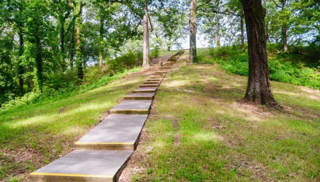 View of several stone slabs that lead up to Poverty Point National Monument in Louisiana. Steps lead through grass and past tall trees. 