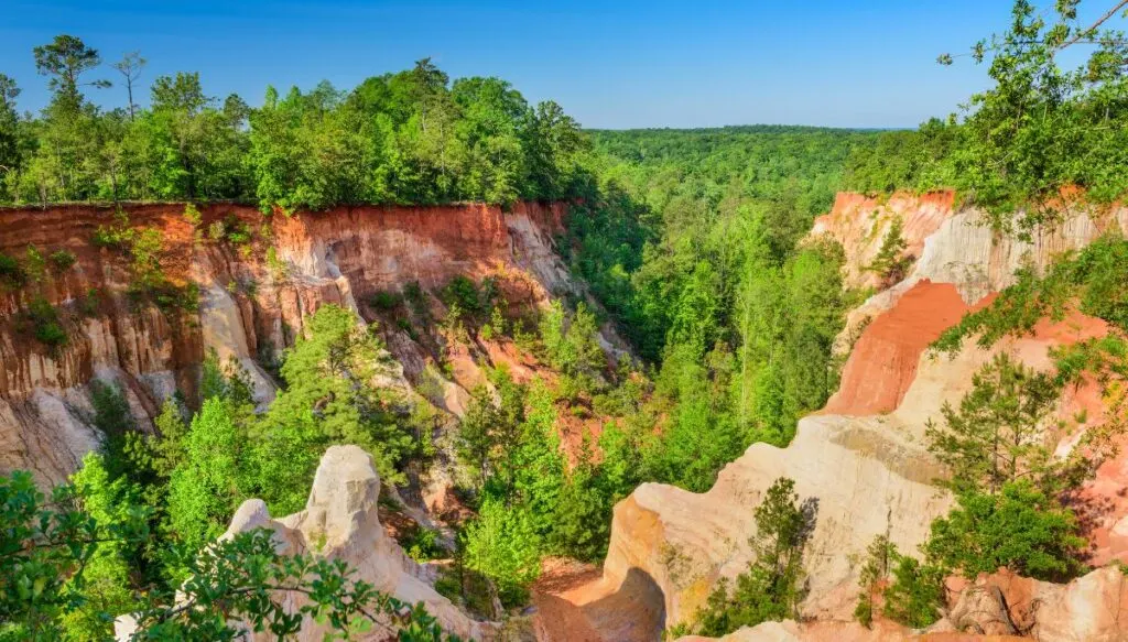 View of the red rock walls inside of Providence Canyon. You can see tons of trees on top of and around the canyon. 