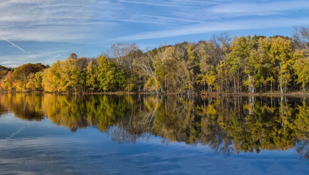 View of trees with fall foliage sitting along the edge of Radnor Lake with the rees perfectly reflected in the lake. 