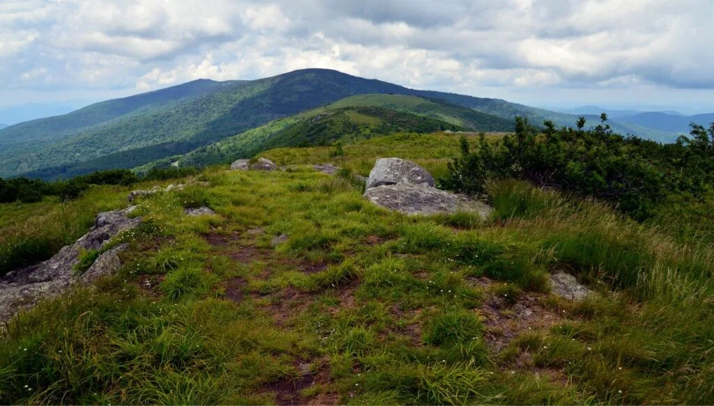 View of grassy green areas with rocks and small bushes with the Roan Mountain in the background. You can see clouds in the sky too. 