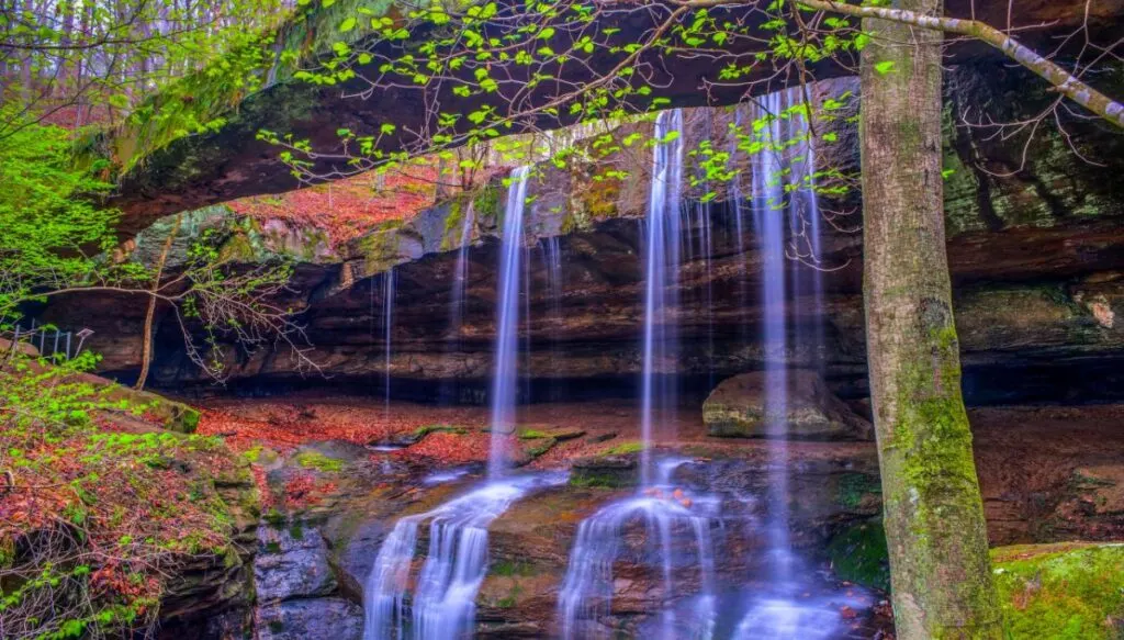 View of a small waterfall falling over the edge of a rockk with a green tree to the right in Rockbridge State Nature Preserve. 