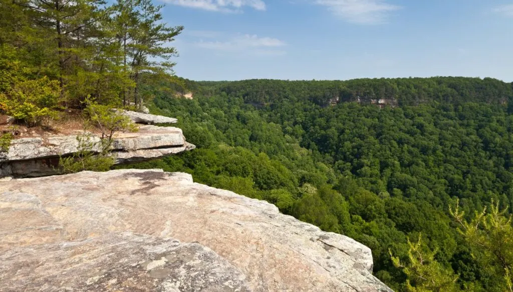 The view of sweeping green forests from a rocky overlook in Savage Gulf State Natural Area. 