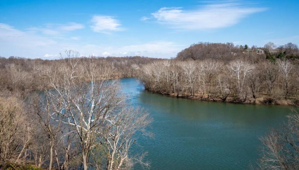 View of a bright blue river outside Shepherdstown that is surrounded by trees with no leaves in winter. 