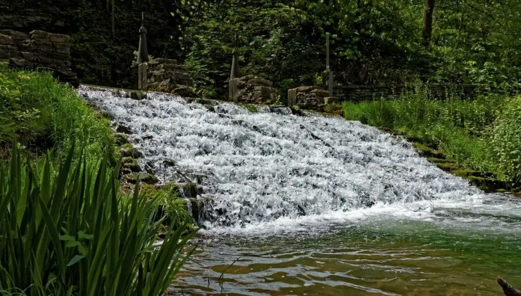 A view of Siewers Spring Falls cascading down a series of steps surrounded by tall leafy plants. 