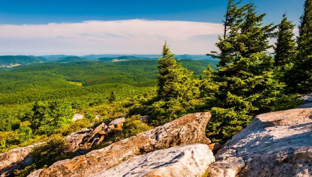View from the top of Spruce Knob in West Virginia. You can see pine trees to the right and panoramic views of pine forest in the distance on a sunny day. 