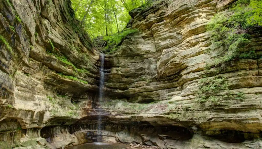 View of a small waterfall falling down a sheer rock face inside of Starved Rock State Park. You can see a lot of trees above the waterfall. 