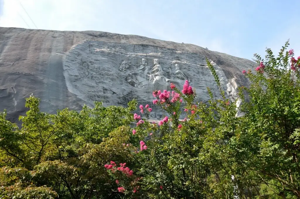 View of a carving in the side of the mountain with pink flowers in the front of the carving in Stone Mountain Park. 