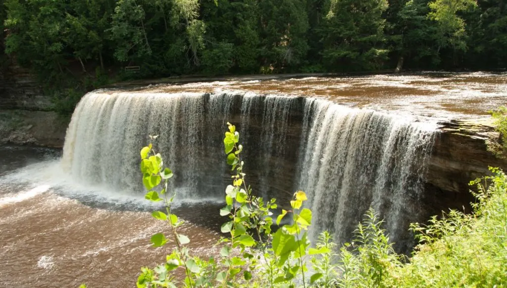 View of a waterfall in Tahquamenon Falls State Park. You can see the waterfall plunging down to the river below and lots of green trees in the background. 