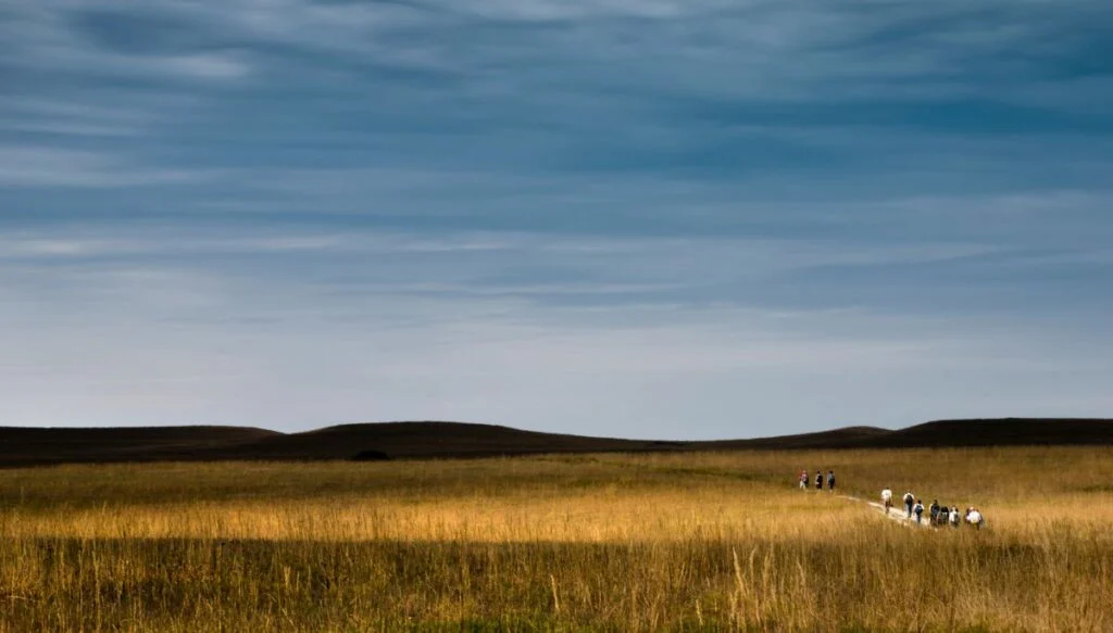View of the tall brown grass of the Tallgrass Prairie Preserve. You can see a group of people in the distance walking along a boardwalk out into the prarie. 