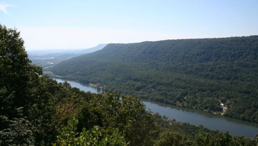 View of the Tennessee River Gorge covered in green trees with a quiet river going through the middle. 