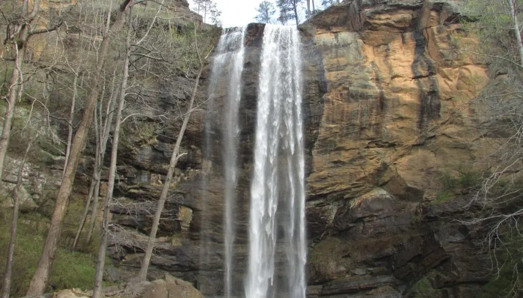 View of a waterfall pouring down a sheer rock face surrounded by trees along the edge. 