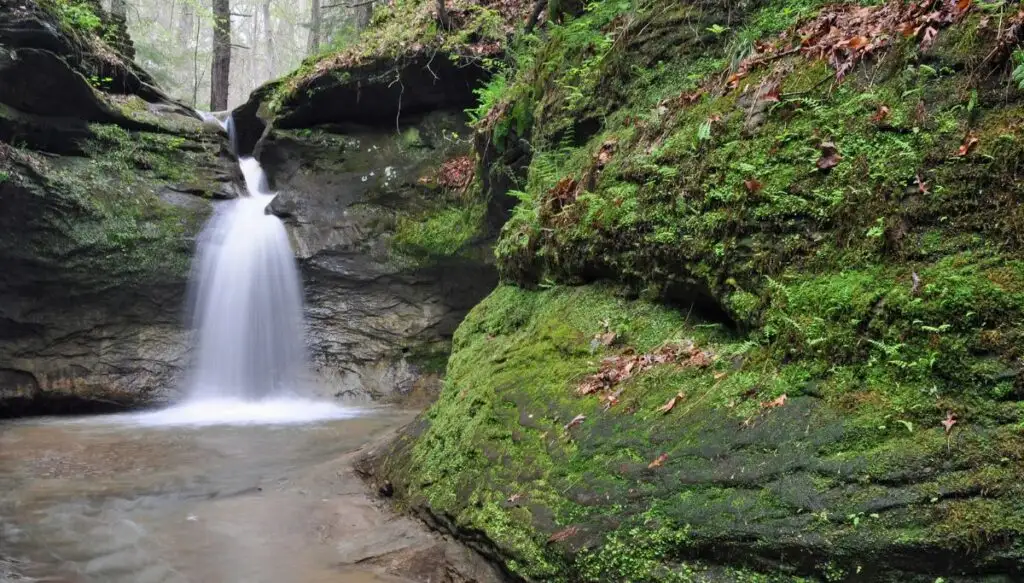 View of a small waterfall tumbling down rocks and into a stream with moss-covered rocks to the right in Turkey Run State Park. 