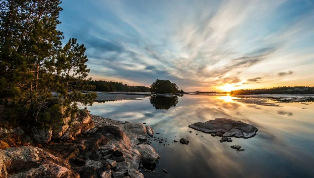 View of the pine trees along the coast of Voyageurs National Park. You can also see the sun setting in the background over the water. 