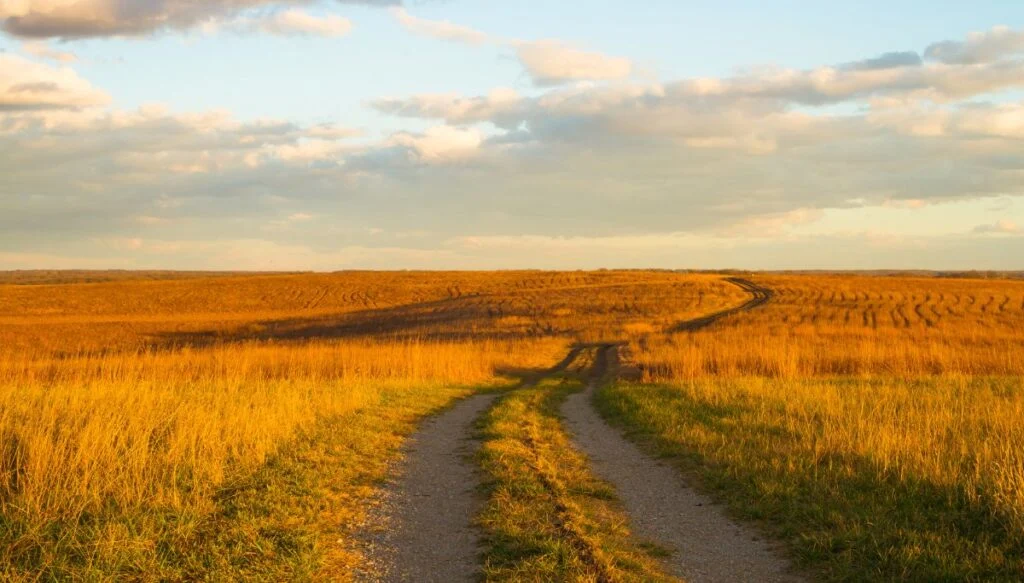 A path through Wah Kon-Tah Prairie. You can see the grasses take on a golden glow as the sun sets and the sky fills with white clouds. 