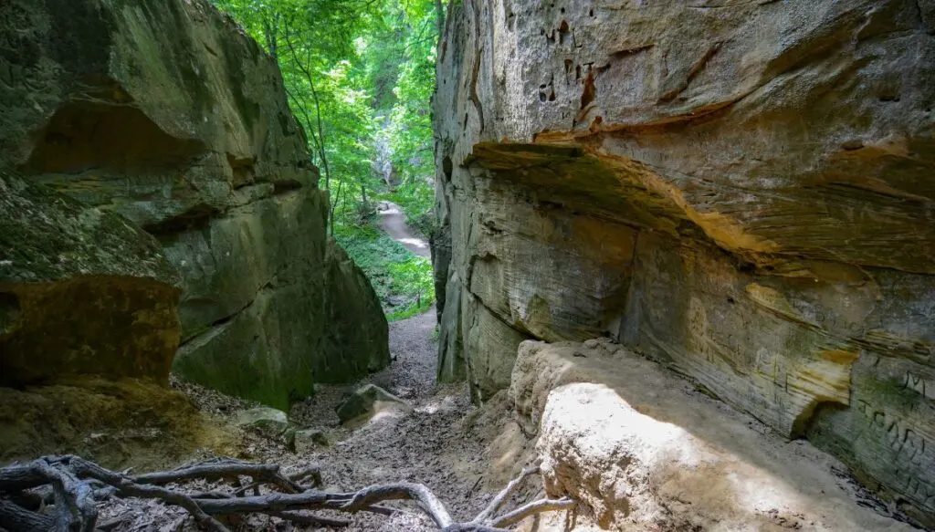 View of a walking path that sneaks past two stone walls at Wildcat Den State Park. 