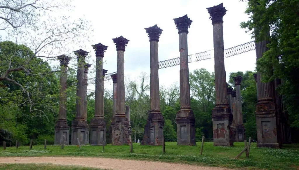 View of eight Roman-style columns standing next to each other and surrounded by leafy trees at the Windsor Ruins in Mississippi. 
