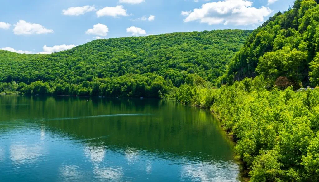 View of hills covered in trees surrounded a blue reservoir that is reflecting the clouds in the sky.  the 
