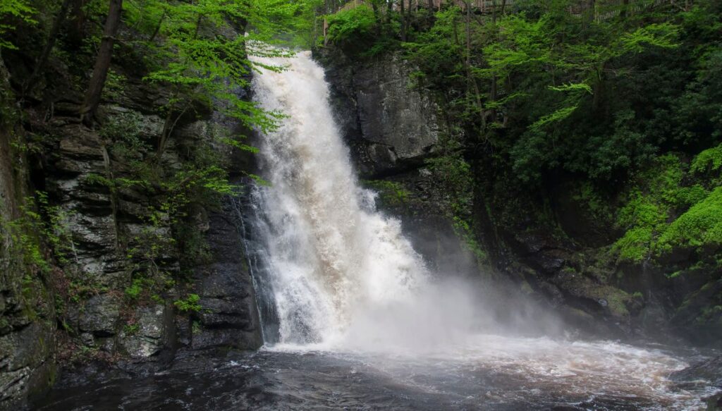 View of the white water of Bushkill Falls tumbling down the edge of a rock face into a deep pool. The waterfall is surrounded by tons of lush greenery.