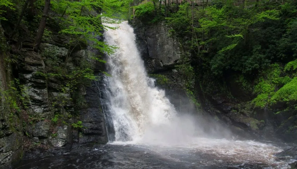View of the white water of Bushkill Falls tumbling down the edge of a rock face into a deep pool. The waterfall is surrounded by tons of lush greenery. 