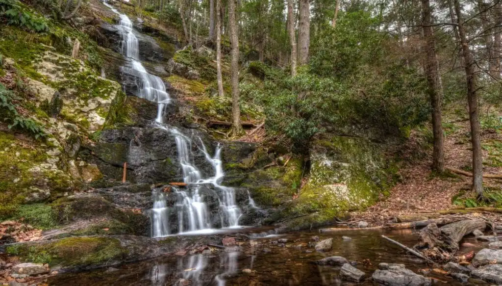 View of water trickling down a series of rocks in Buttermilk Falls. You can see moss on the rocks and green trees all around the falls with dead leaves on the ground. 