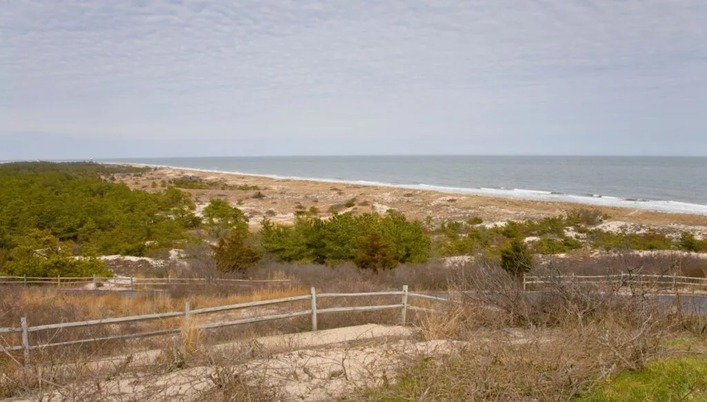 Aerial view of a wooden face sitting in sand surrounded by green bushes with sand in the distance and the ocean coming up against the shore in Cape Henlopen State Park. 