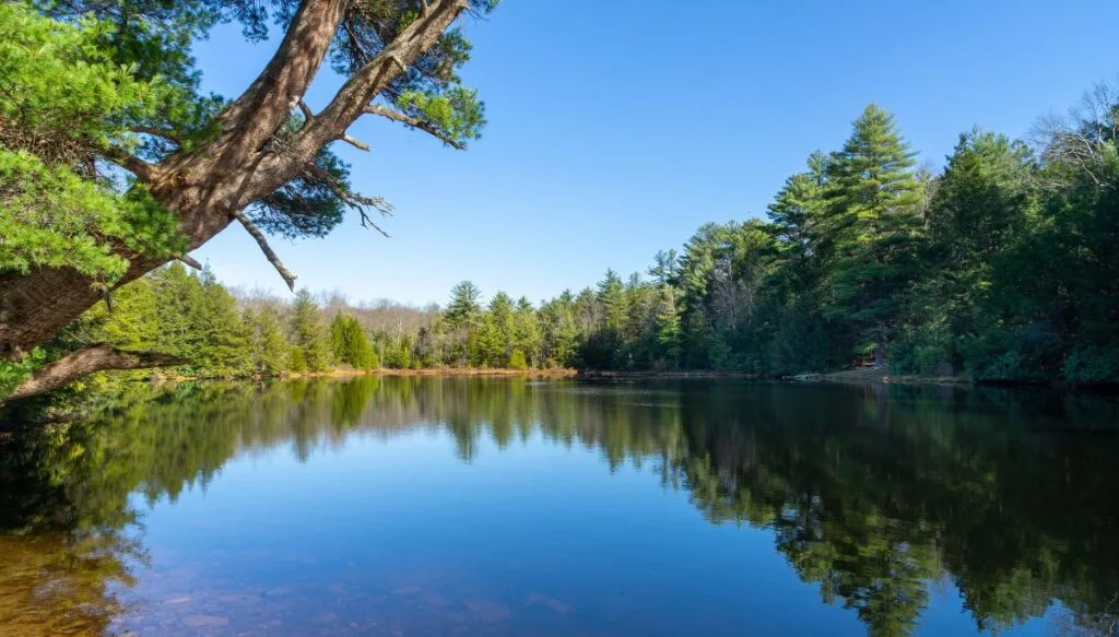 View of a blue lake reflecting green pine trees with pine trees all around the edge of the lake in Hockory Run State Park. 