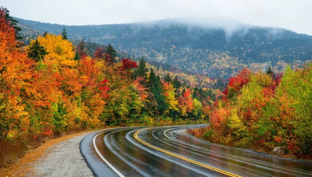 View of vibrant fall foliage alone the Kancamagus Highway with mist covering the mountains in the background and a wet highway in the foreground. 