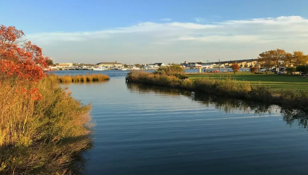 View of fall foliage on the left with tall grass in the water and an island with mowed grass on the right. You ca n see the light getting darker and houses and boats in the distance on a sunny day. 
