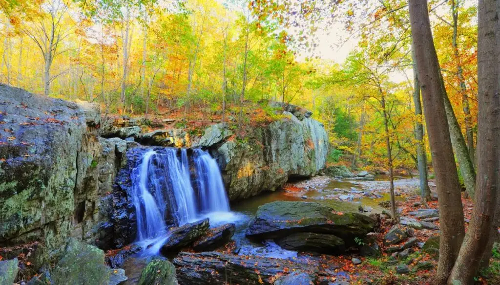 View of Kilgore Falls in the center with leaves all around it and a small pool at the bottom. You can also see a rockface around the waterfall and colorful trees in the background. 