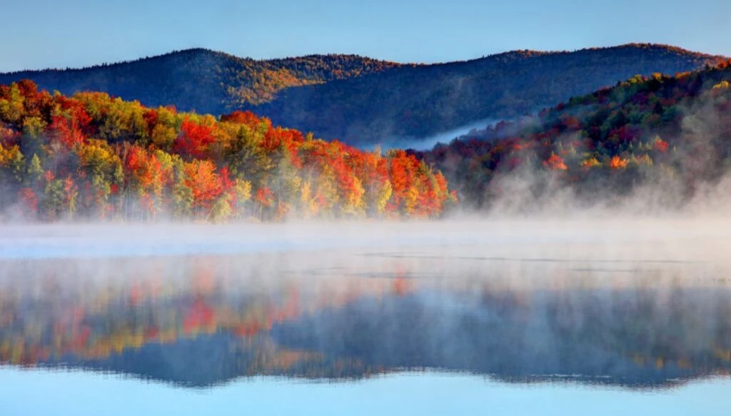 View of vibrant fall foliage sitting along the edge of a lake with mist above it in Kilington. 
