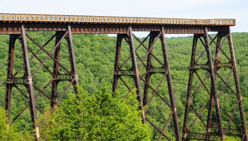 View of a tall bridge extending out over the vast green forests of Kinzua Bridge State Park. You can see the bridge from the side. 
