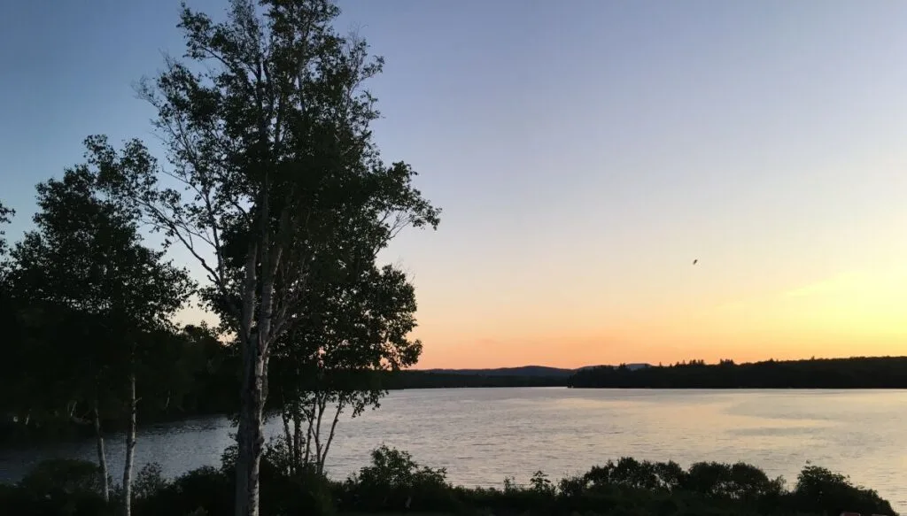 View from the shore of Lake Hebron with the sun setting in the background and a leafy tree to the left in the foreground. 