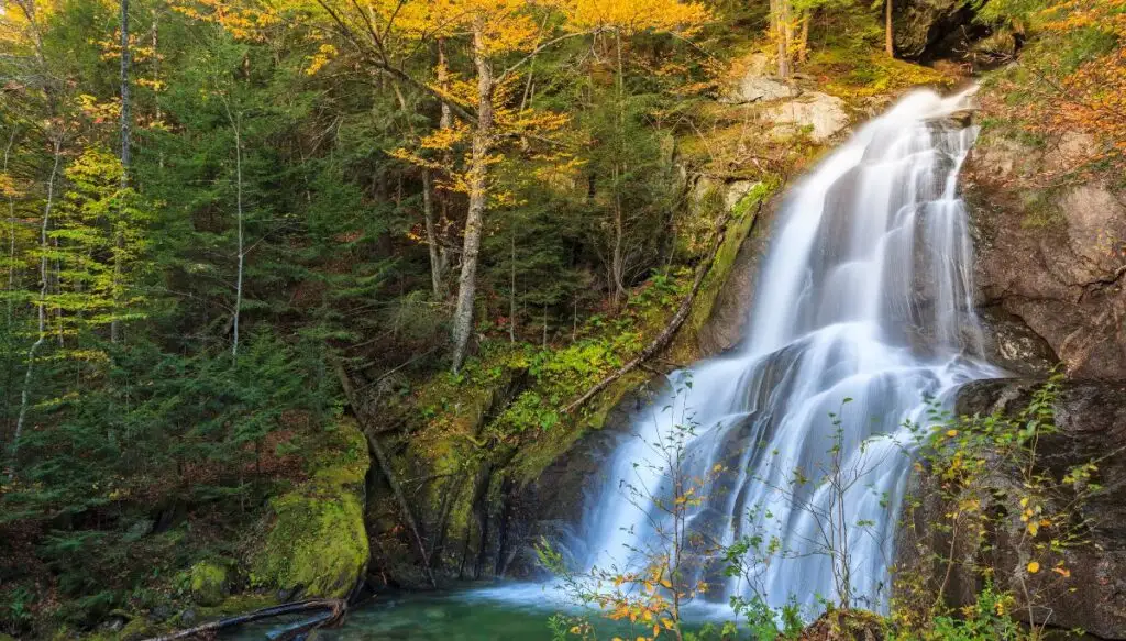 View of Moss Glen Falls cascading down a rock face and into the pool below. You can also see moss and green trees all around the falls. 