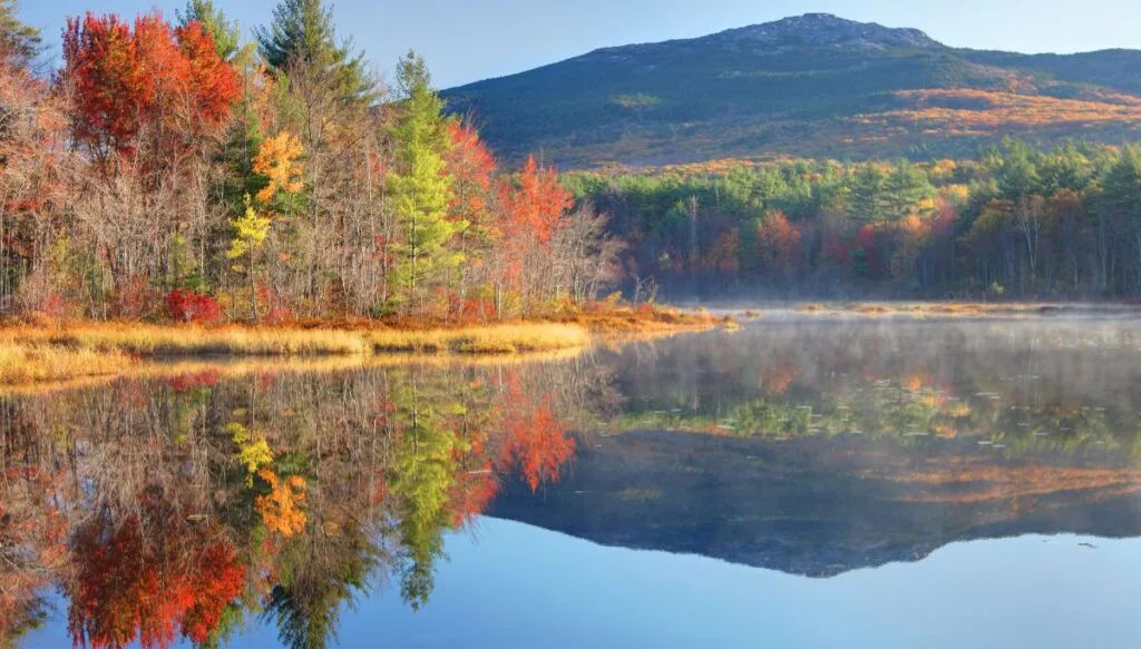 View of vibrant foliage reflected in the lake on a sunny day with Mount Monadnock in the distance. 