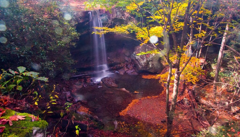 View of a waterfall falling into a shallow pool and it is surrounded by vibrant fall foliage in Ohiopyle State Park.