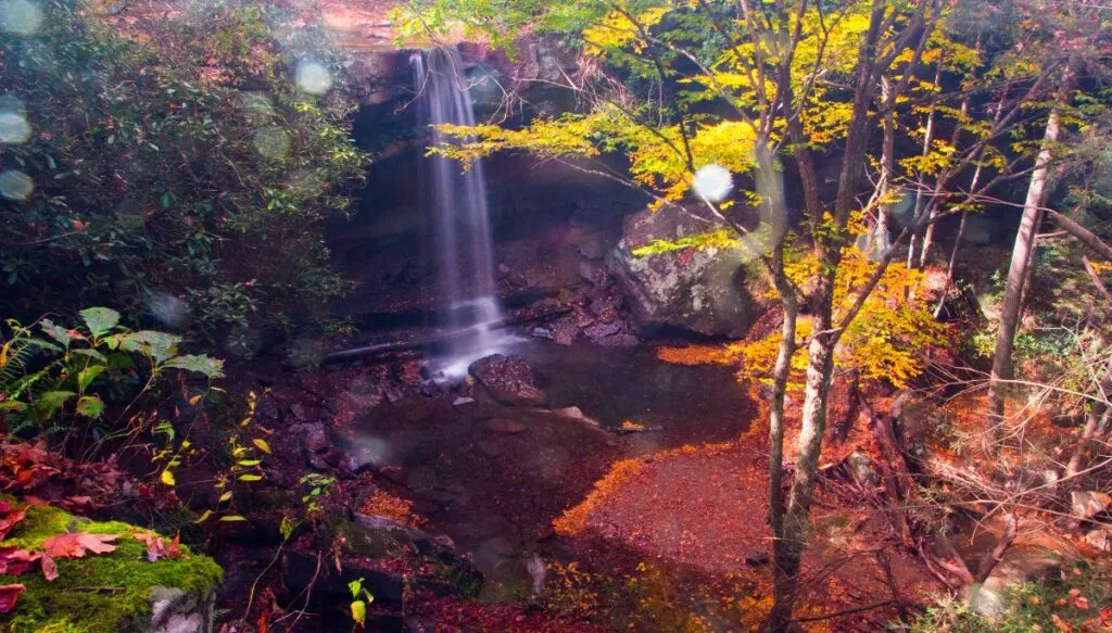 View of a waterfall falling into a shallow pool and it is surrounded by vibrant fall foliage in Ohiopyle State Park. 