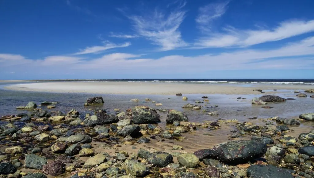 View of rocks along the beach at Plum Island on a sunny day. 